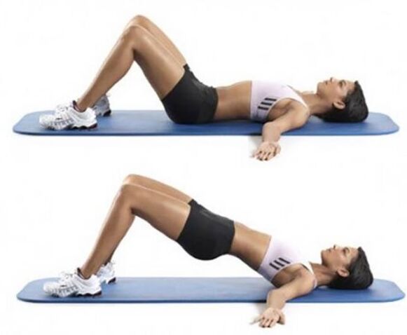 RISPORT HIPS